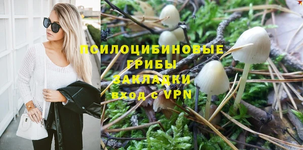 амфетамин Богородицк